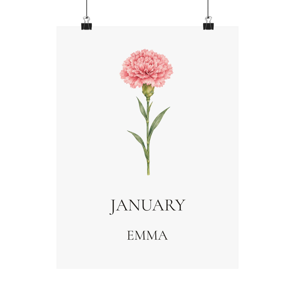January Birth Flower Print – Carnation Personalized Wall Art Gift, Matte