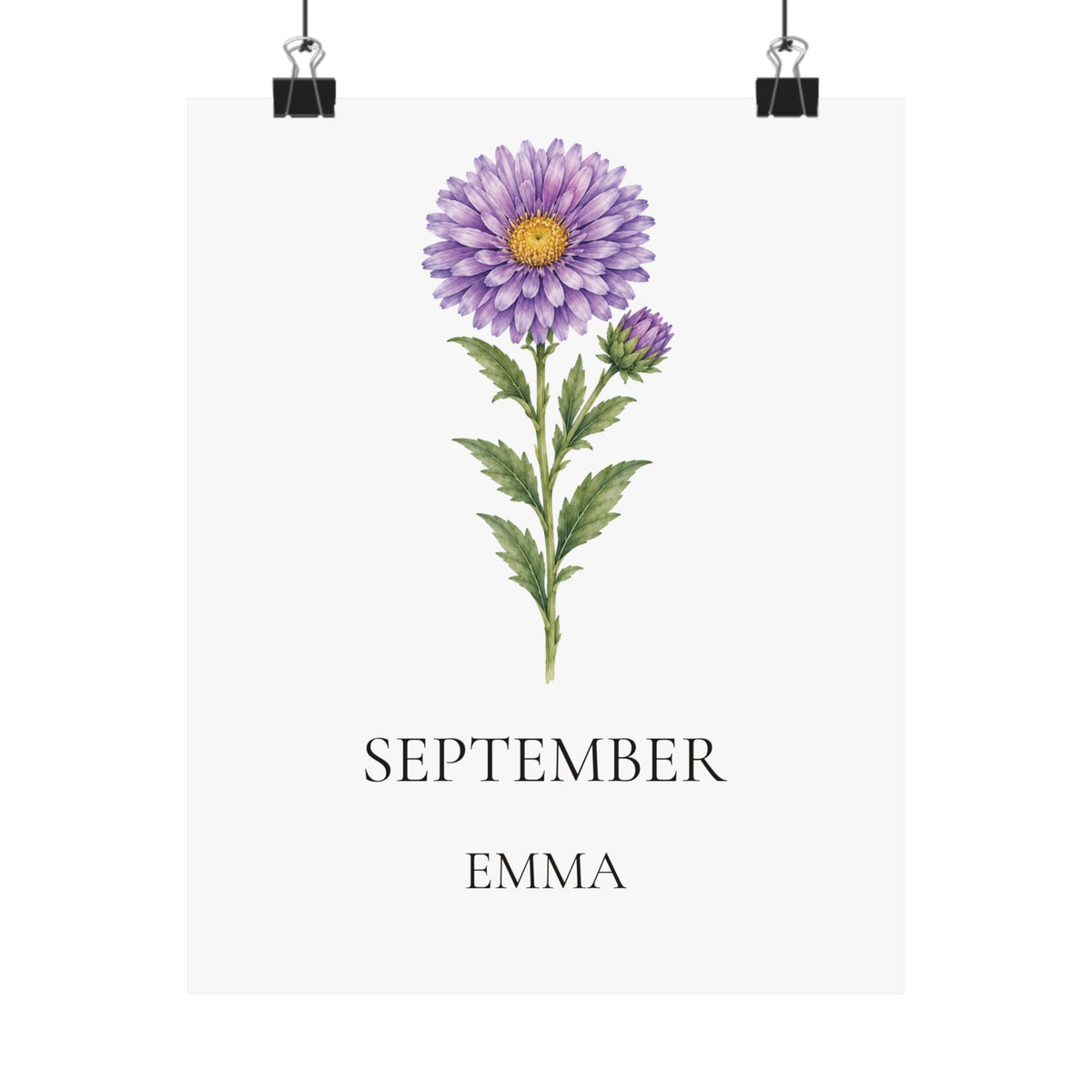 September Birth Flower Print – Aster Personalized Wall Art Gift, Matte