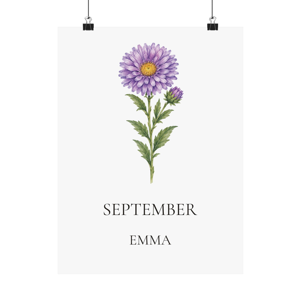 September Birth Flower Print – Aster Personalized Wall Art Gift, Matte